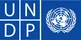 Programme des Nations unies pour le développement